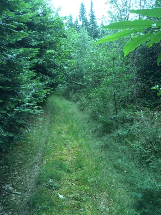 Foret Enchantee De Bourgogne La Celle-En-Morvan Bagian luar foto
